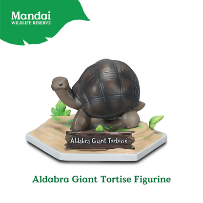 Aldabra Giant Tortise Figurine XM Studio