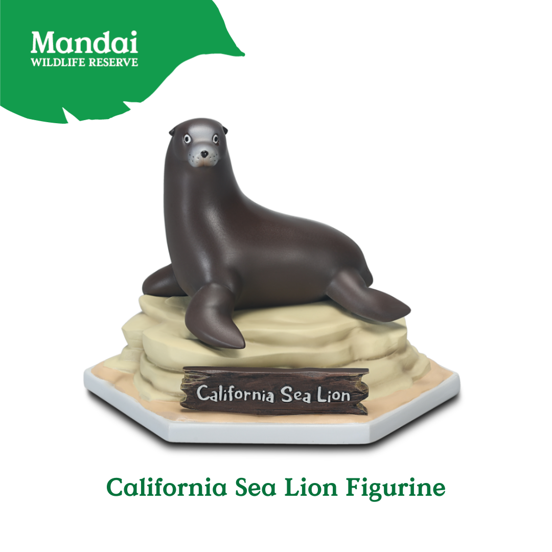 California Sea Lion Figurine XM Studio