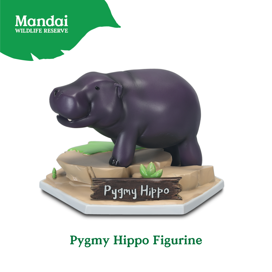 Pygmy Hippo Figurine XM Studio