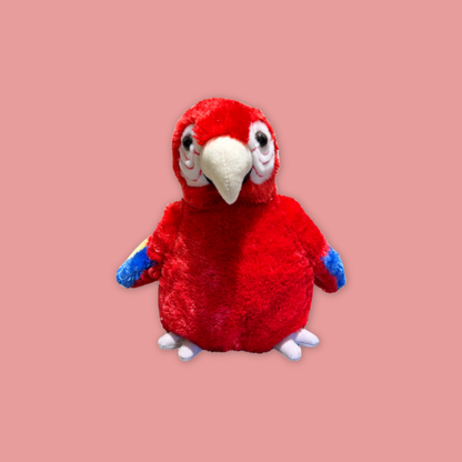 Macaw & Hyacinth Macaw Plush with Egg – Bird Paradise MANDAI WILDLIFE RESERVE
