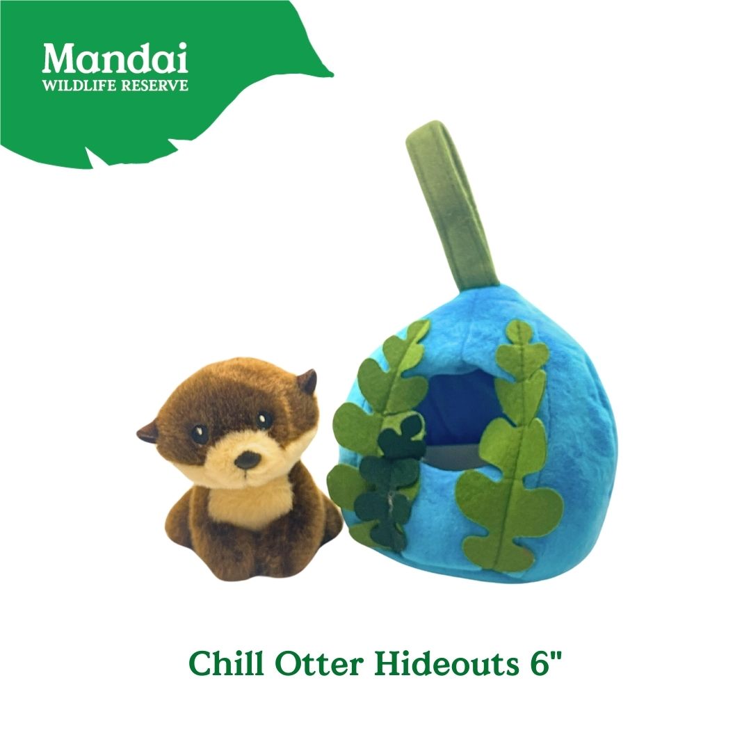 Otter Reversible Pillow Chill Otter Hideouts Coin Purse Sitting Otter Plush MANDAI WILDIFE RESERVE