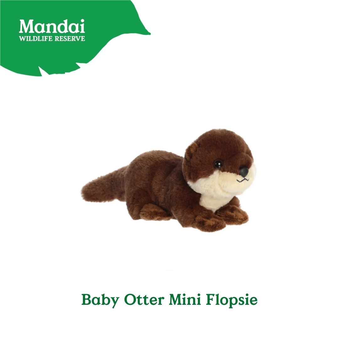 Otter Reversible Pillow Chill Otter Hideouts Coin Purse Sitting Otter Plush MANDAI WILDIFE RESERVE