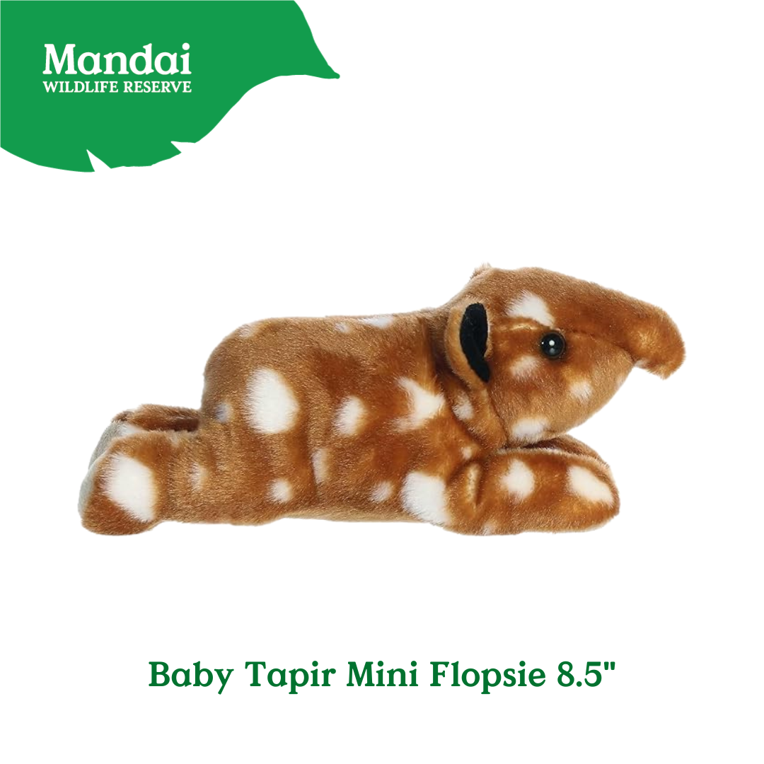 Flopsies Alligator Baby Otter Baby Tapir Hyena Plush Toys at MANDAI WILDLIFE RESERVE