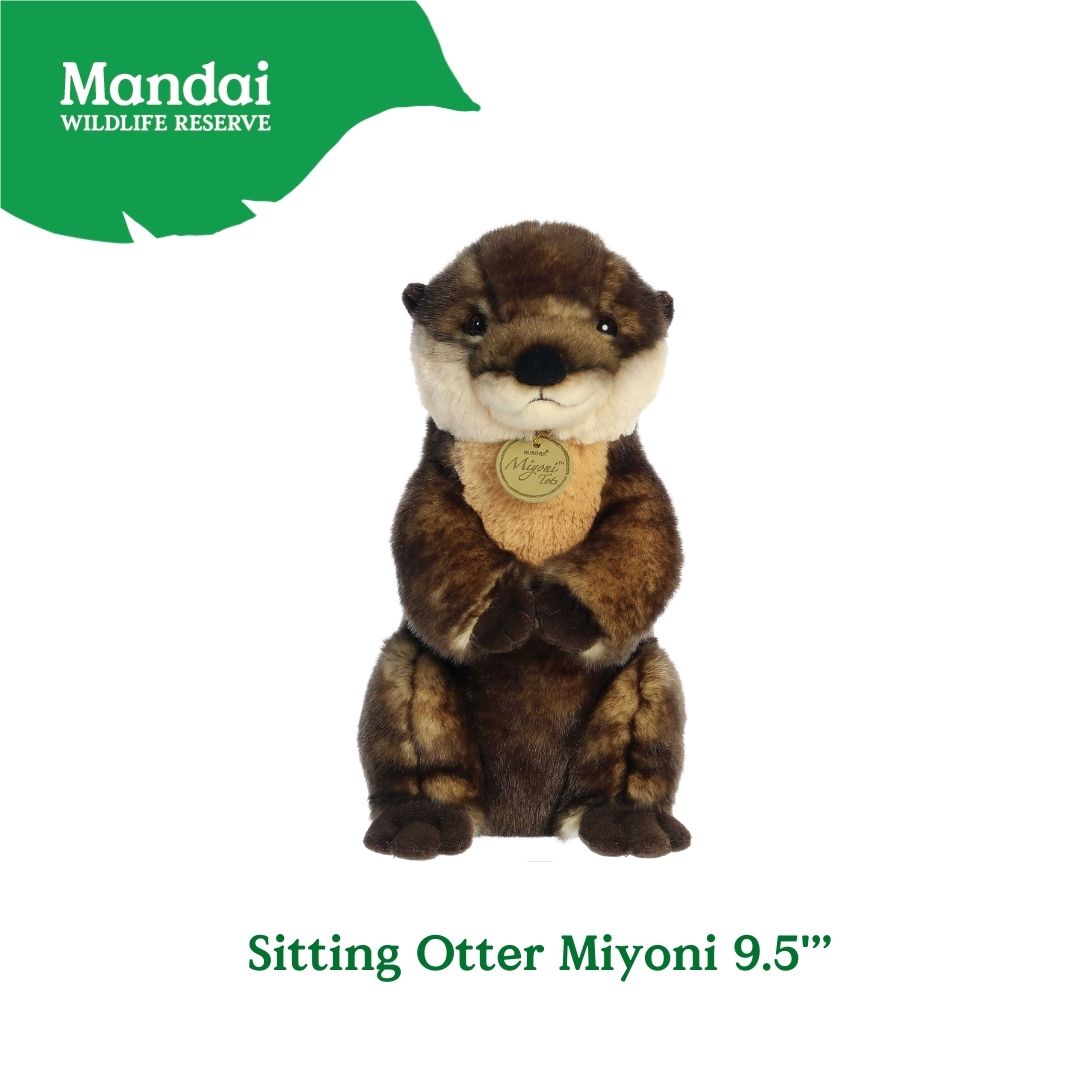 Otter Reversible Pillow Chill Otter Hideouts Coin Purse Sitting Otter Plush MANDAI WILDIFE RESERVE