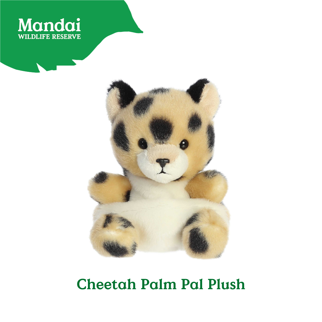 Adorable Tiger W Tiger Lion Cheetah Monkey Elephant Giraffe Beanie Plush Toy Palm Pal MANDAI WILDLIFE RESERVE