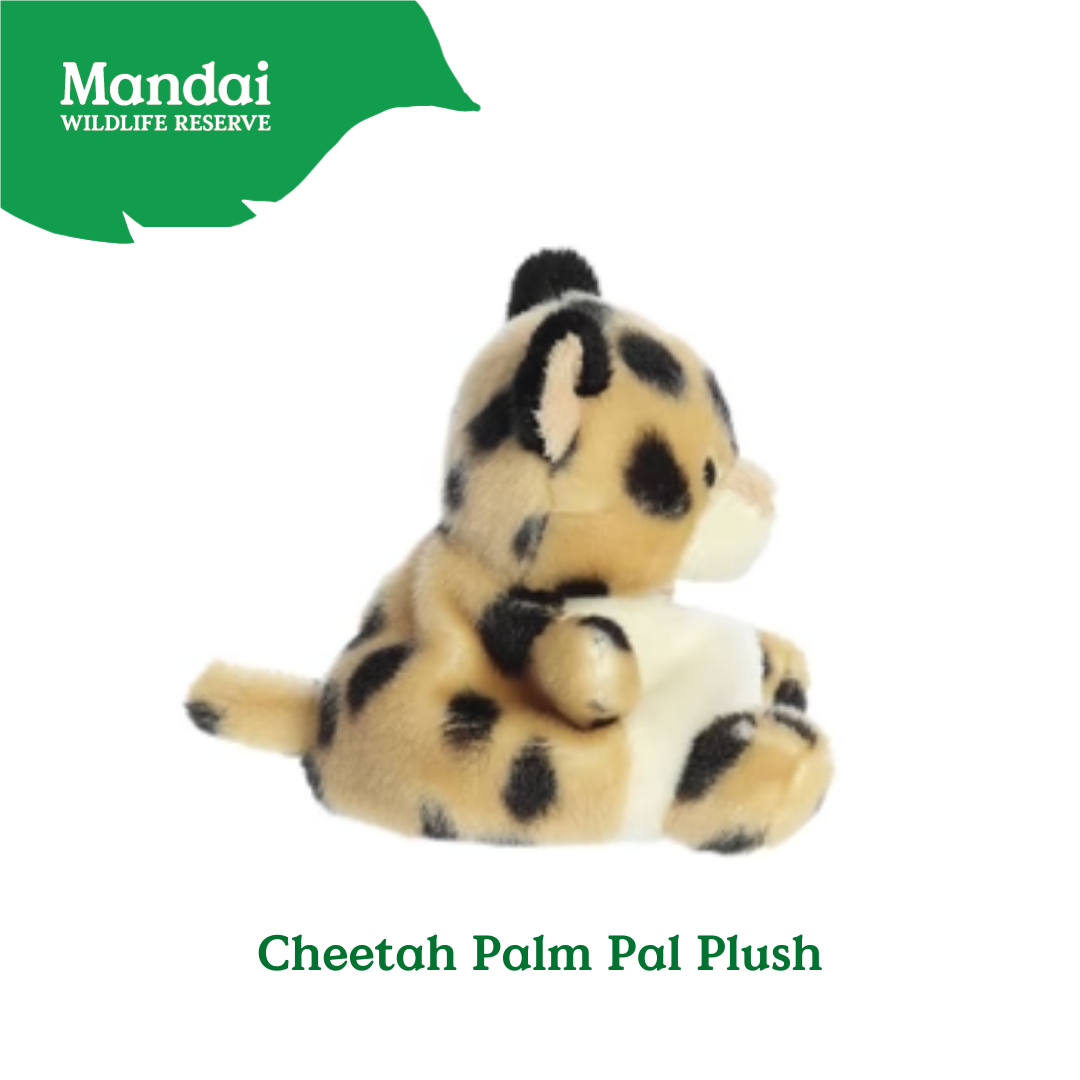 Adorable Tiger W Tiger Lion Cheetah Monkey Elephant Giraffe Beanie Plush Toy Palm Pal MANDAI WILDLIFE RESERVE