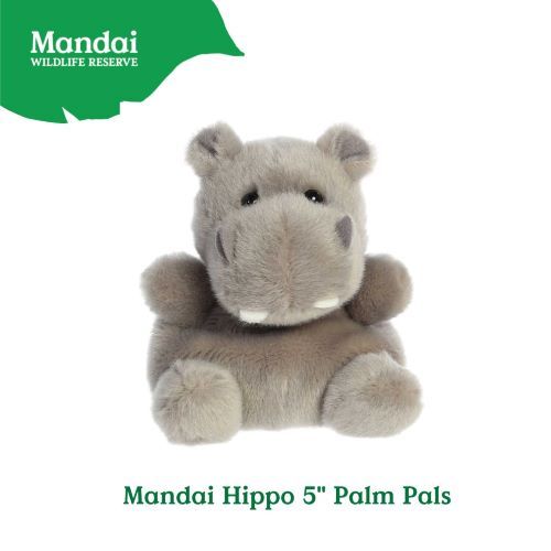 Adorable Animal Hippo Chick Sahal Owl Barnie Owl Stingray Luna Bat Flamingo Macaw Palm Pal Plush MANDAI WILDLIFE RESERVE