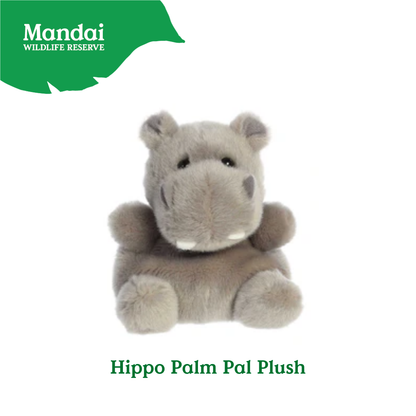Adorable Animal Hippo Chick Sahal Owl Barnie Owl Stingray Luna Bat Flamingo Macaw Palm Pal Plush MANDAI WILDLIFE RESERVE
