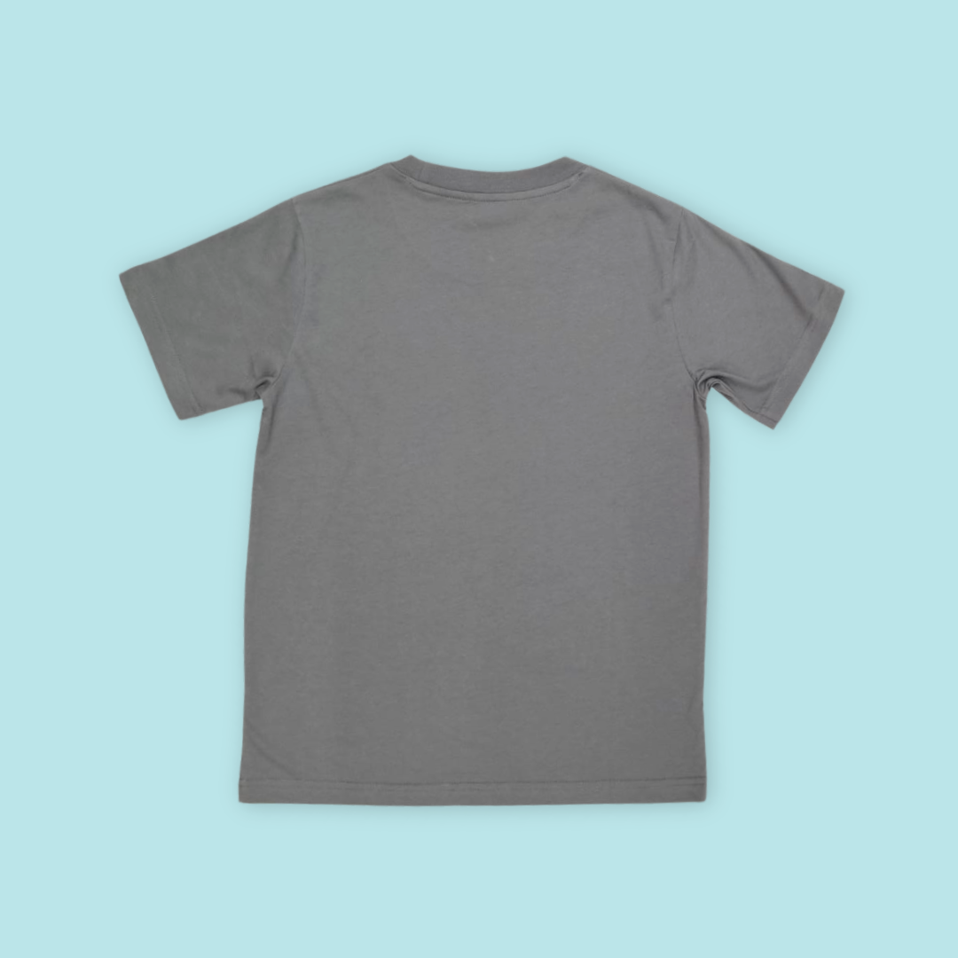 Flamingo Adult T-Shirt