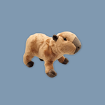 Capybara Beanie Plush