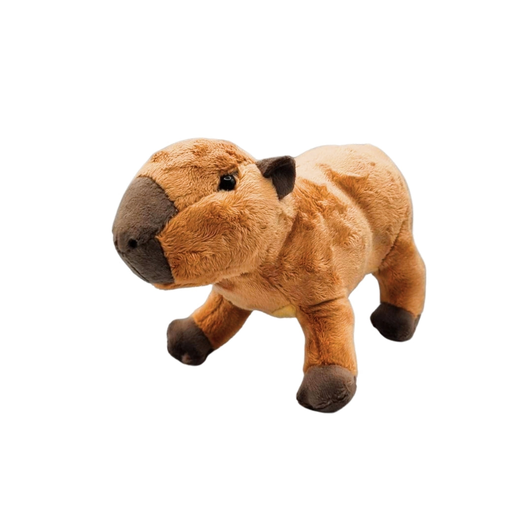 Capybara Beanie Plush 8"