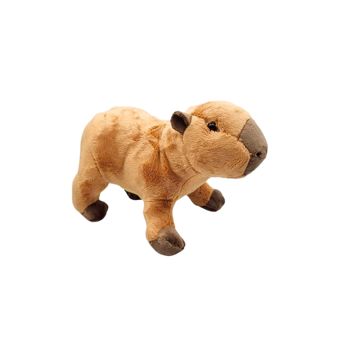 Capybara Beanie Plush 8"