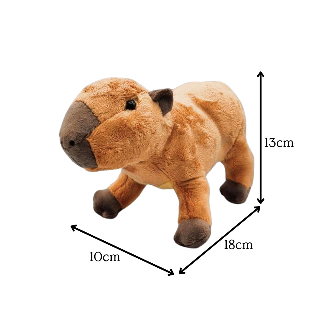 Capybara Beanie Plush 8"