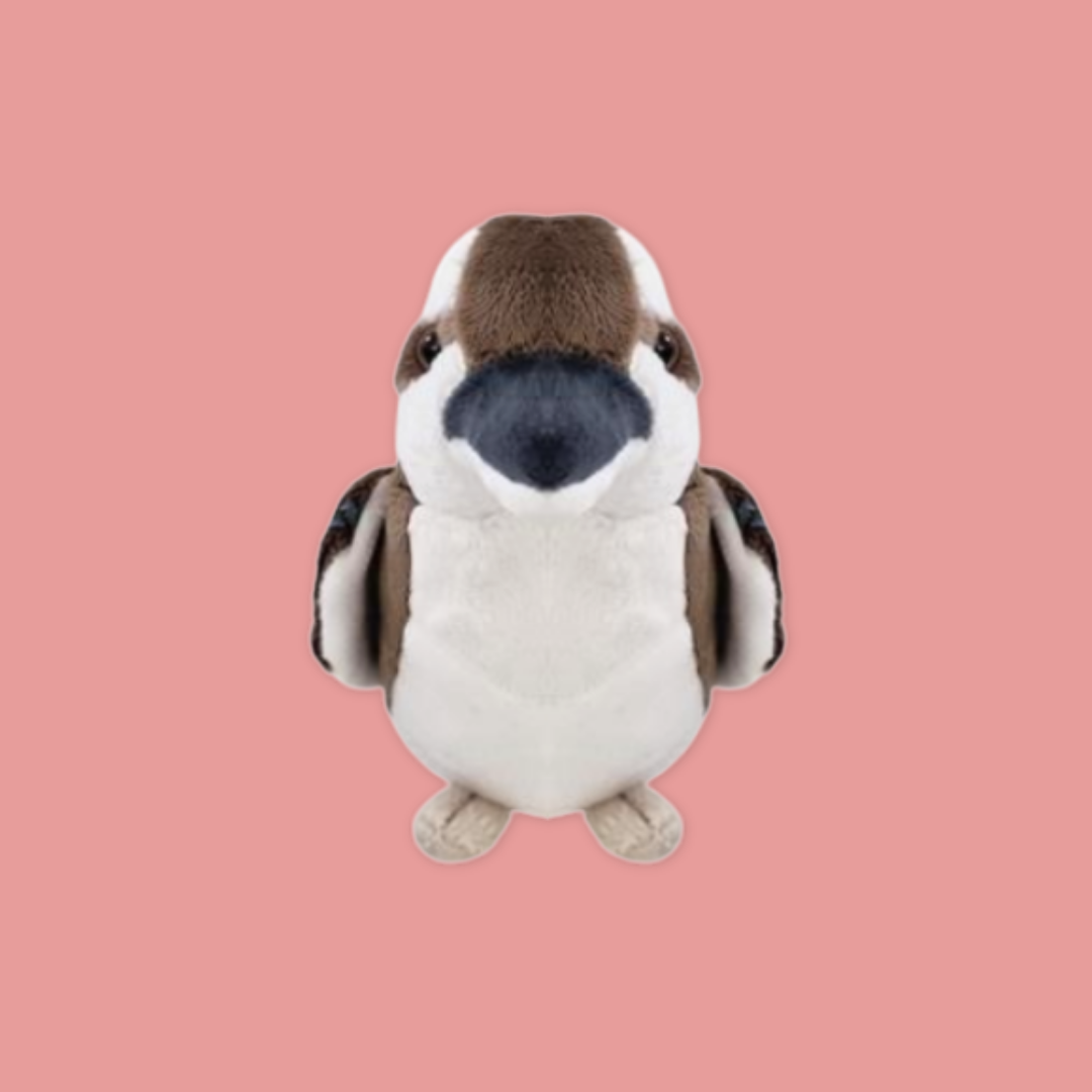 Kookaburra Beanie Plush 10"