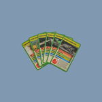 Mandai Reptiles Top Trumps Card Game