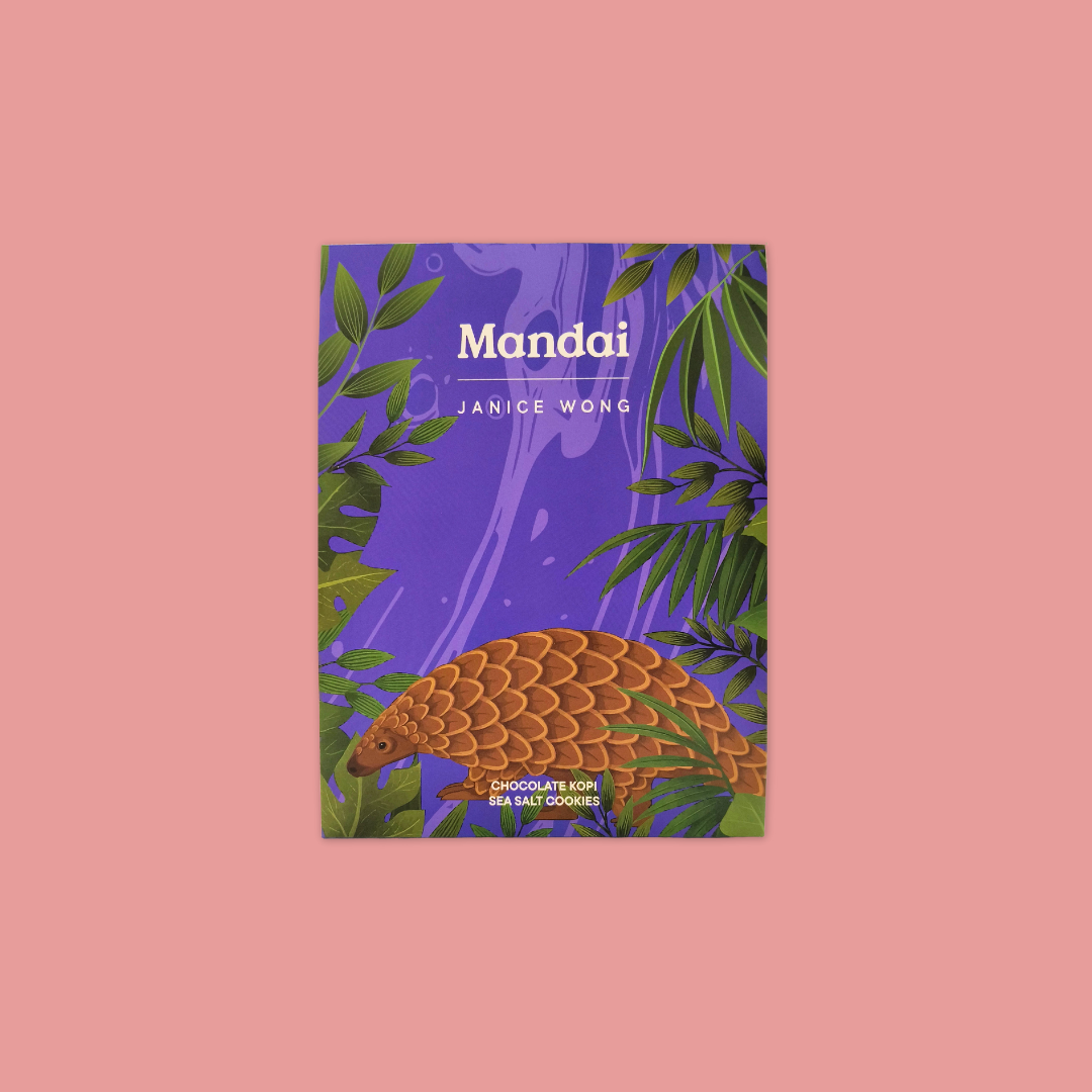 Janice Wong Chocolate Kopi Sea Salt Cookies, 120g