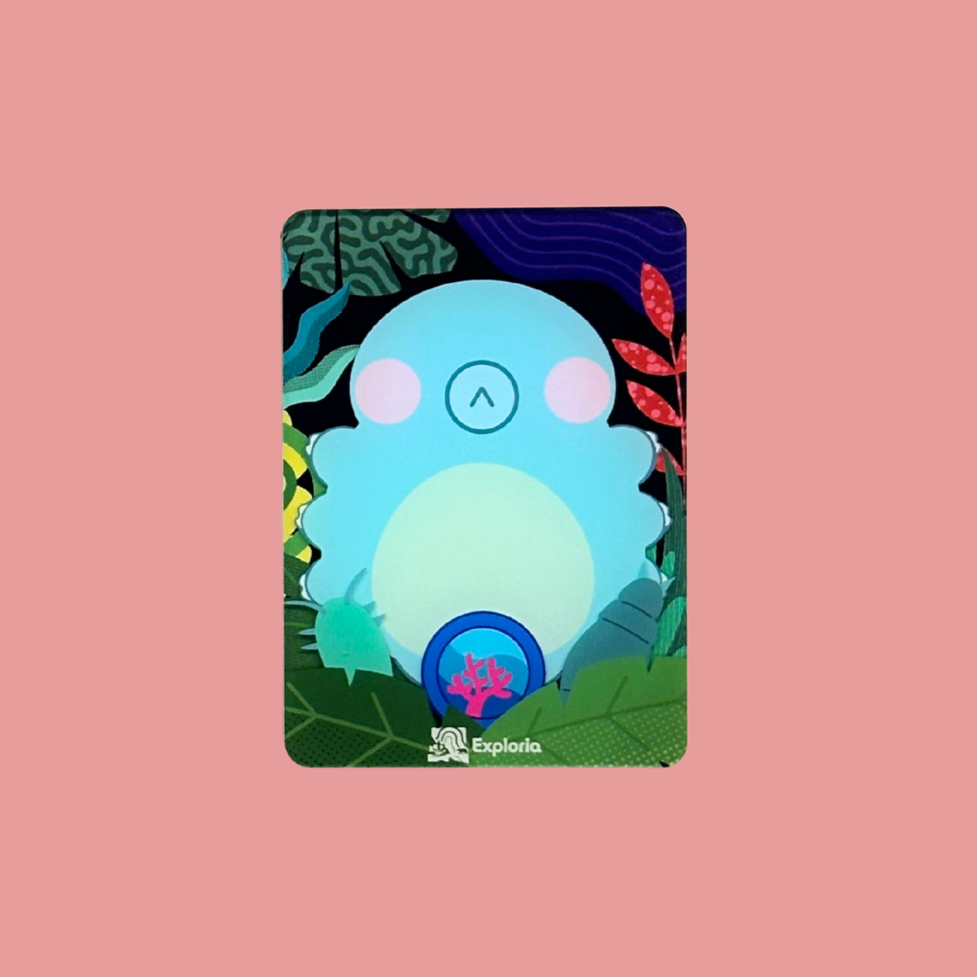 Exploria Mighty Jaxx Magnets