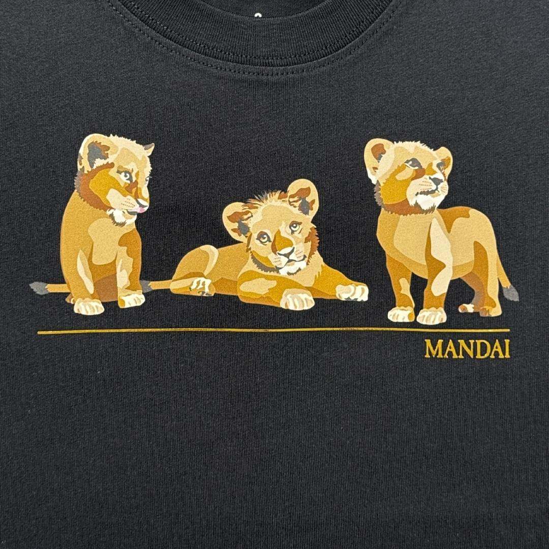 Lion Cubs at Chest Kids T-Shirt