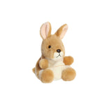 Kangaroo Palm Pal Plush