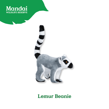 Mandrill Lemur Chimpanzee Velvet Monkey Plush Beanies Exclusive Collection from MANDAI WILDLIFE RESERVE