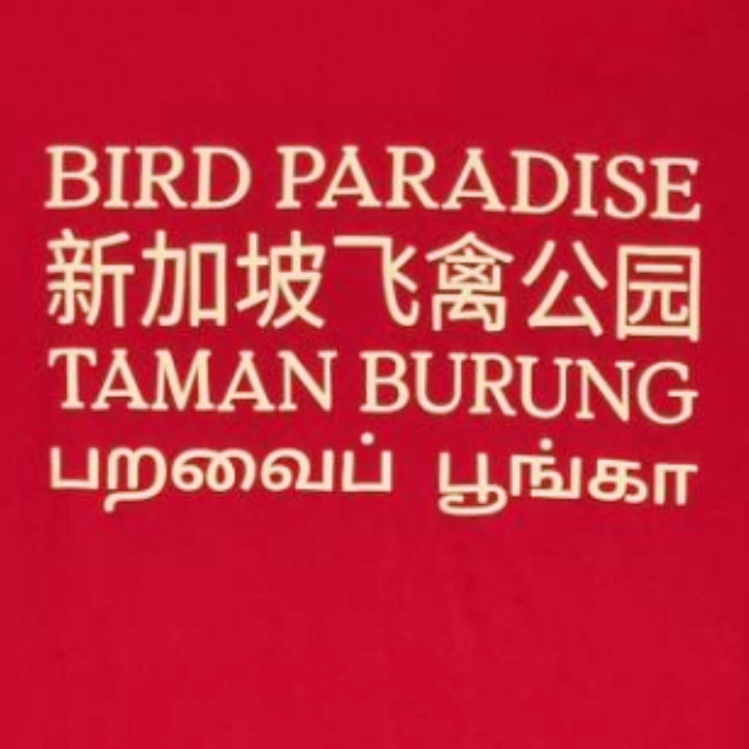 Bird Paradise Scarlet Macaw Map Adult T-Shirt MANDAI WILDLIFE RESERVE