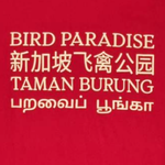 Bird Paradise Scarlet Macaw Map Adult T-Shirt