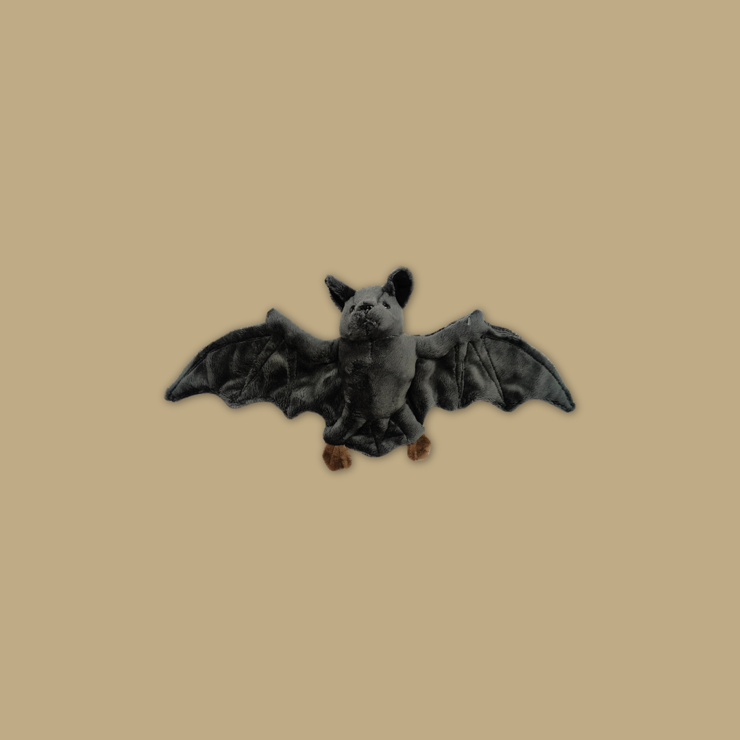 Wolf Bat Black Bear Meerkat Kangaroo Fox Raccoon  Beanie Plush Toy from MANDAI WILDLIFE RESERVE