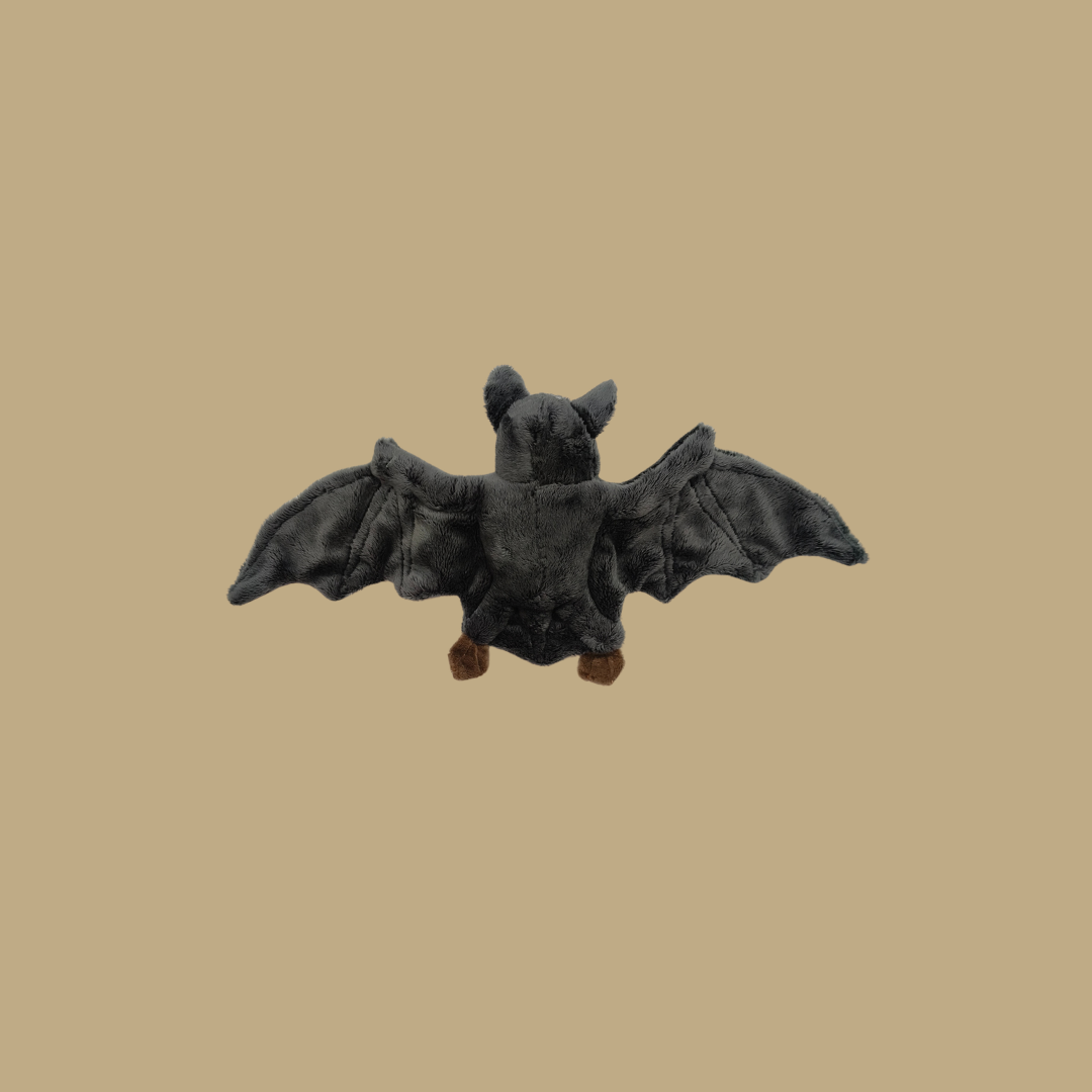 Wolf Bat Black Bear Meerkat Kangaroo Fox Raccoon  Beanie Plush Toy from MANDAI WILDLIFE RESERVE