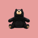 Black Bear Beanie Plush