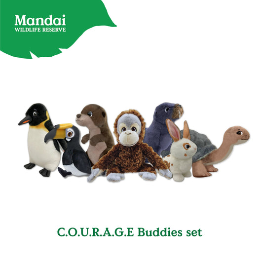  C.O.U.R.A.G.EBuddiesSet