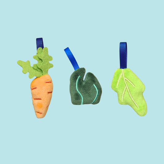 Exploria Plant Based Plush Charm Collection – Mandai × Mighty Jaxx