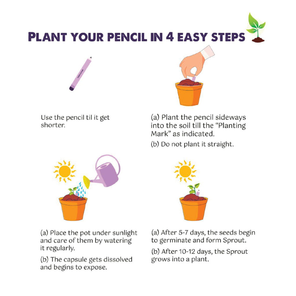 Instructionforplantthepencil