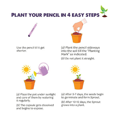 Instructionforplantthepencil