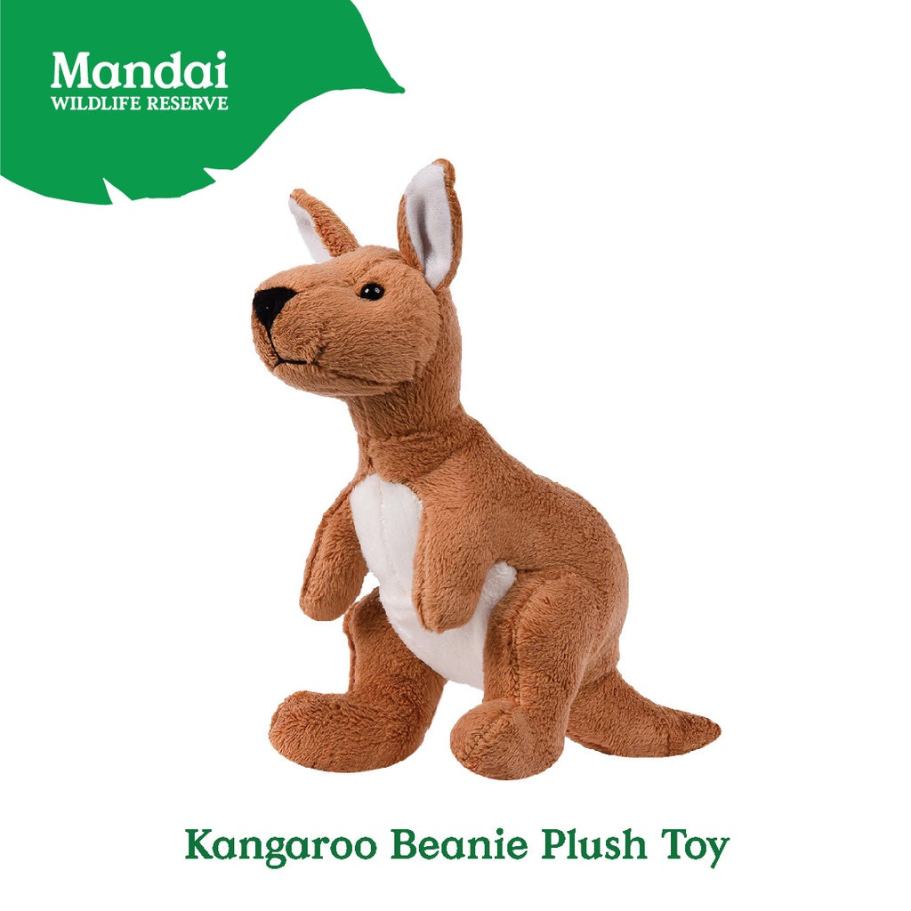  Analyzing image      KangaroonBeaniePlushToy