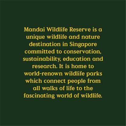 Panda and Friends Adults Red Panda and Baby Tshirt A River Wonders Exclusive Experience MANDAI WILDIFE RESERVE