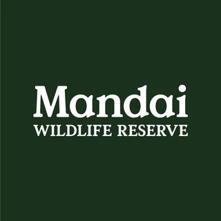 Mandrill Lemur Chimpanzee Velvet Monkey Plush Beanies Exclusive Collection from MANDAI WILDLIFE RESERVE