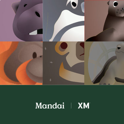 Exclusive Collectable Zoo Animal Inspired Figurines Set of 6  XM STUDIOS MANDAI WILDLIFE RESERVE