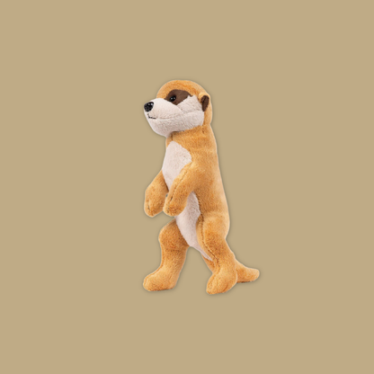 Wolf Bat Black Bear Meerkat Kangaroo Fox Raccoon  Beanie Plush Toy from MANDAI WILDLIFE RESERVE