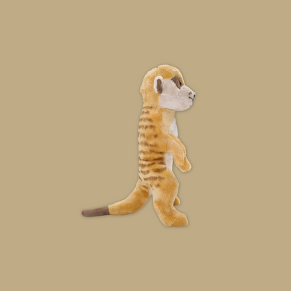 Wolf Bat Black Bear Meerkat Kangaroo Fox Raccoon  Beanie Plush Toy from MANDAI WILDLIFE RESERVE