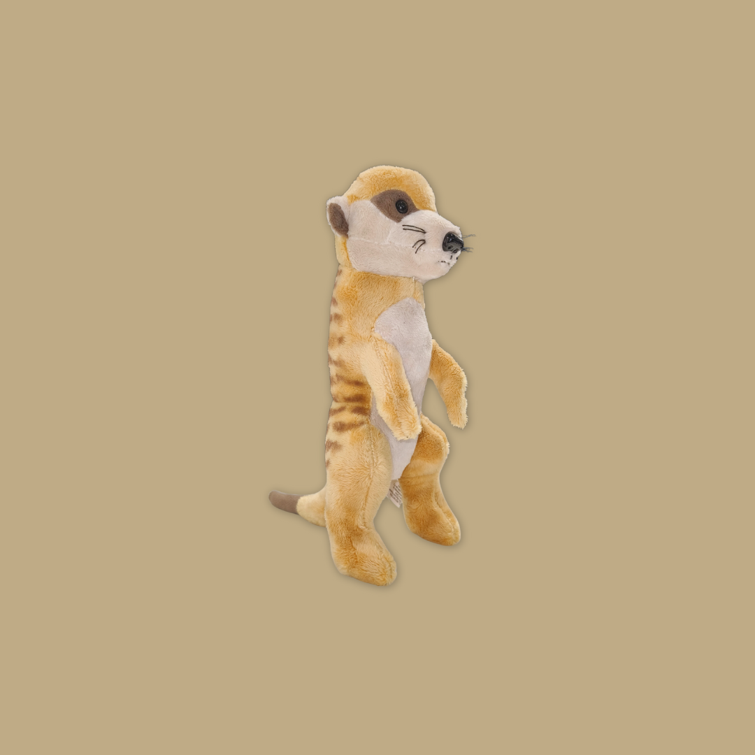 Wolf Bat Black Bear Meerkat Kangaroo Fox Raccoon  Beanie Plush Toy from MANDAI WILDLIFE RESERVE