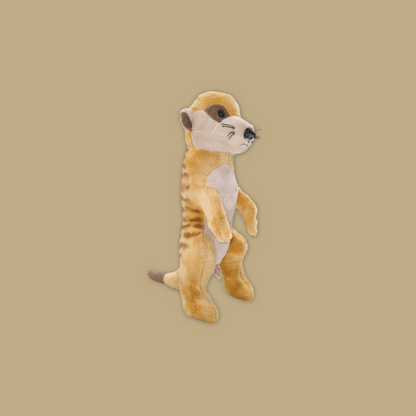 Wolf Bat Black Bear Meerkat Kangaroo Fox Raccoon  Beanie Plush Toy from MANDAI WILDLIFE RESERVE
