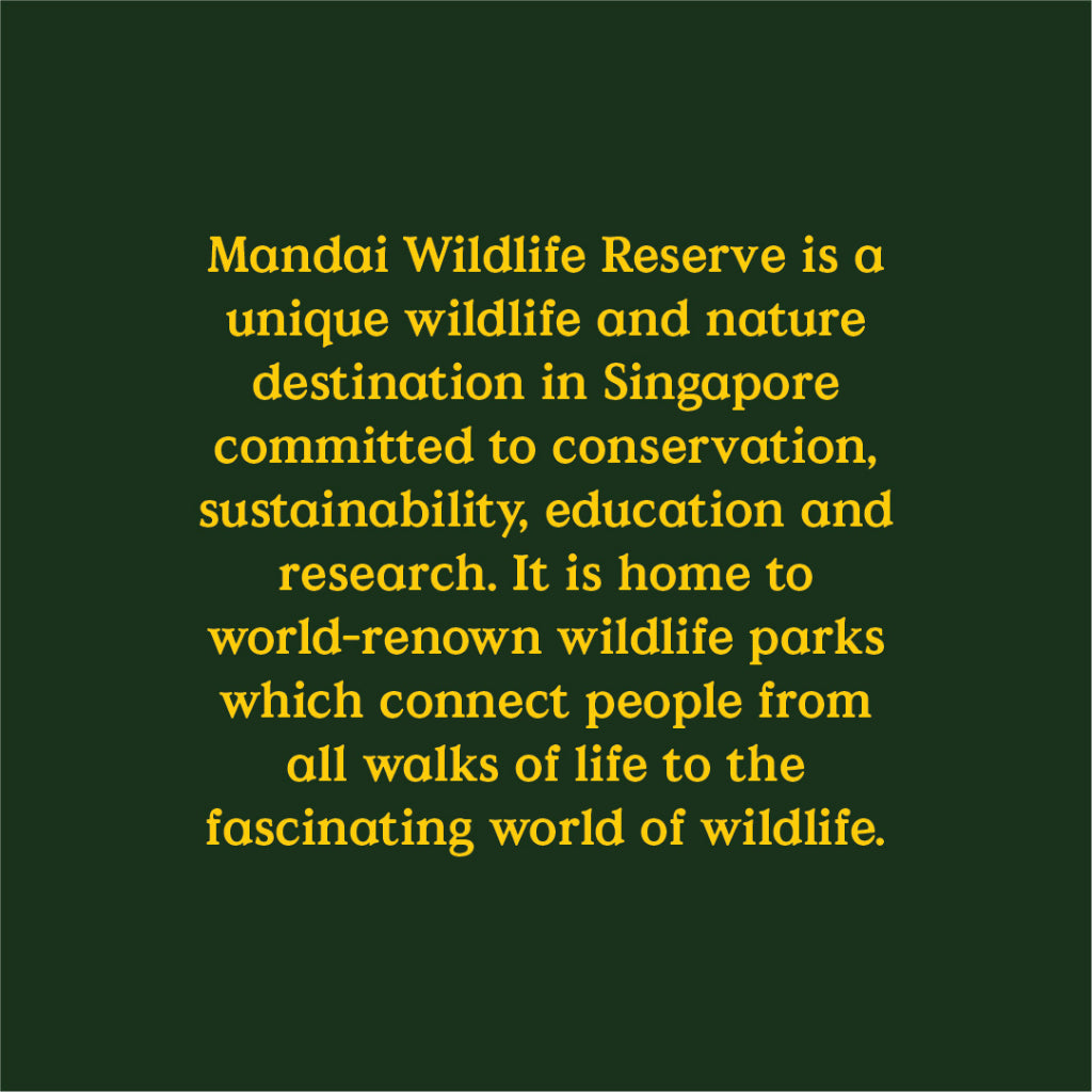 Mandai Description 