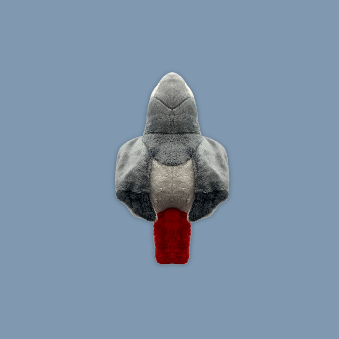 Grey Parrot Beanie Plush