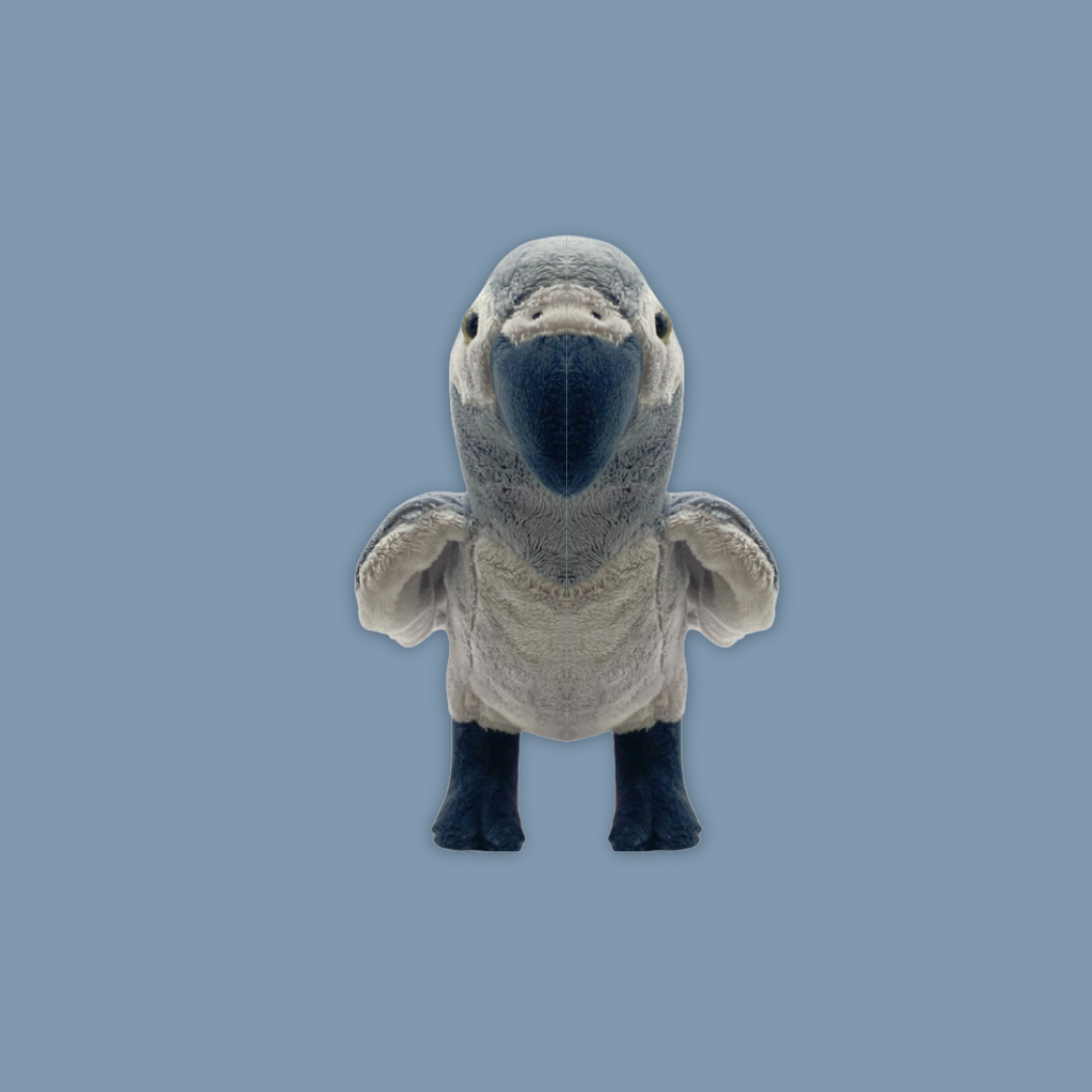 Grey Parrot Beanie Plush