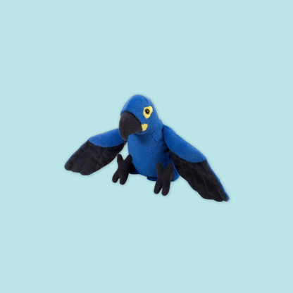 Explore Bird Paradise: Stunning Macaws of MANDAI WILDLIFE RESERVE