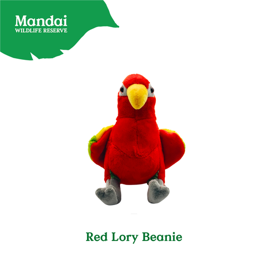 Plushie Lorry Keychain – Scarlet Macaw Edition Mandai Wildlife Reserve