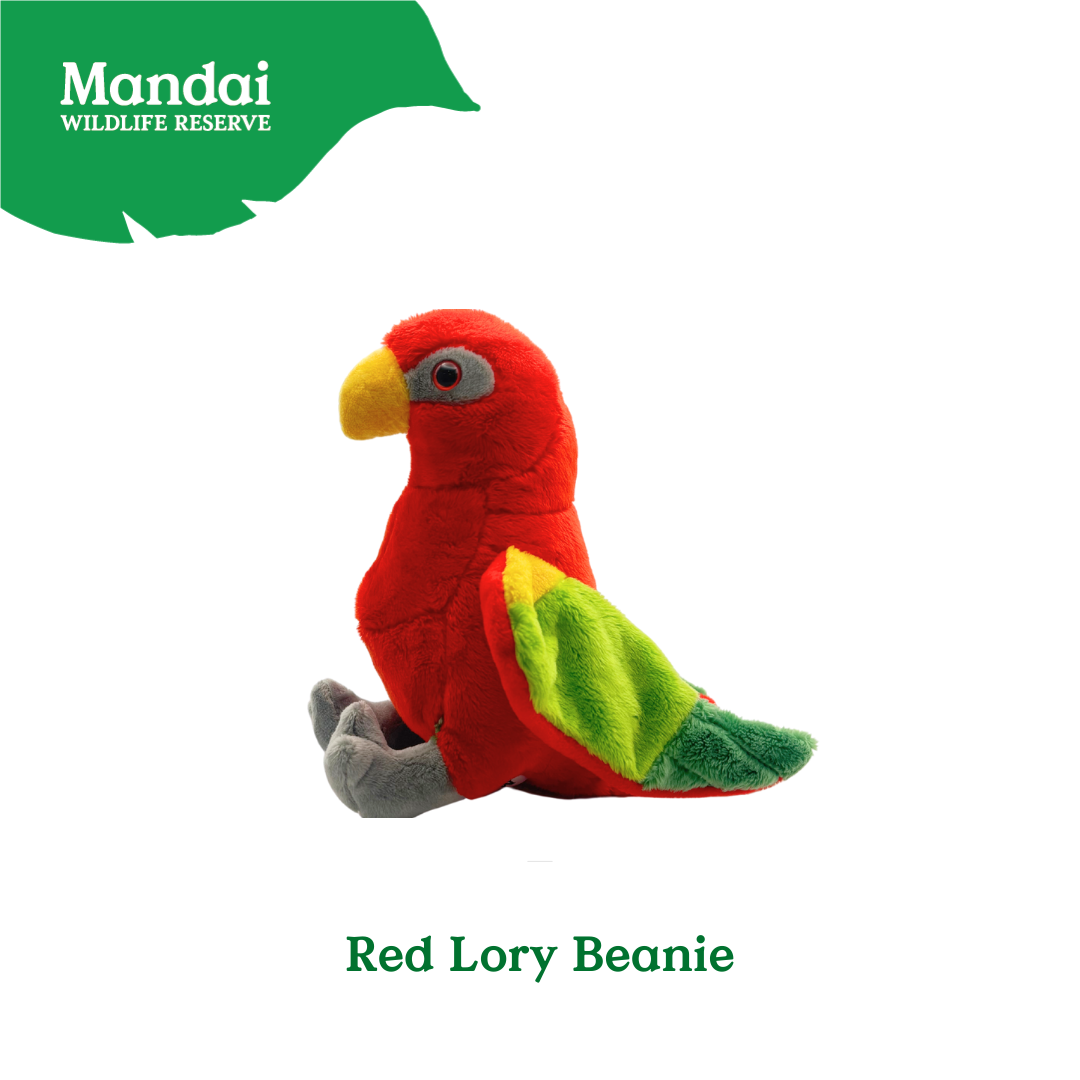 Plushie Lorry Keychain – Scarlet Macaw Edition Mandai Wildlife Reserve
