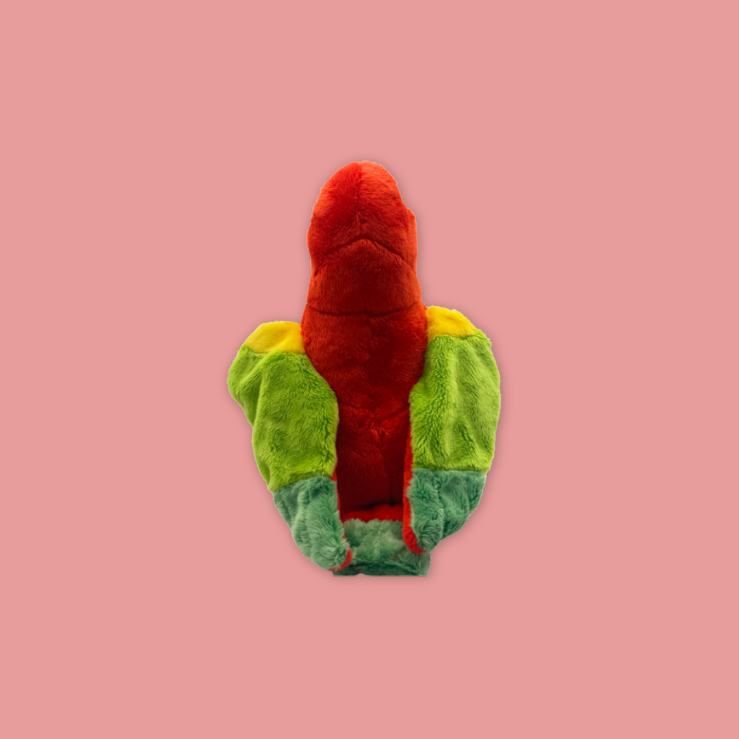 Red Lory Beanie Plush