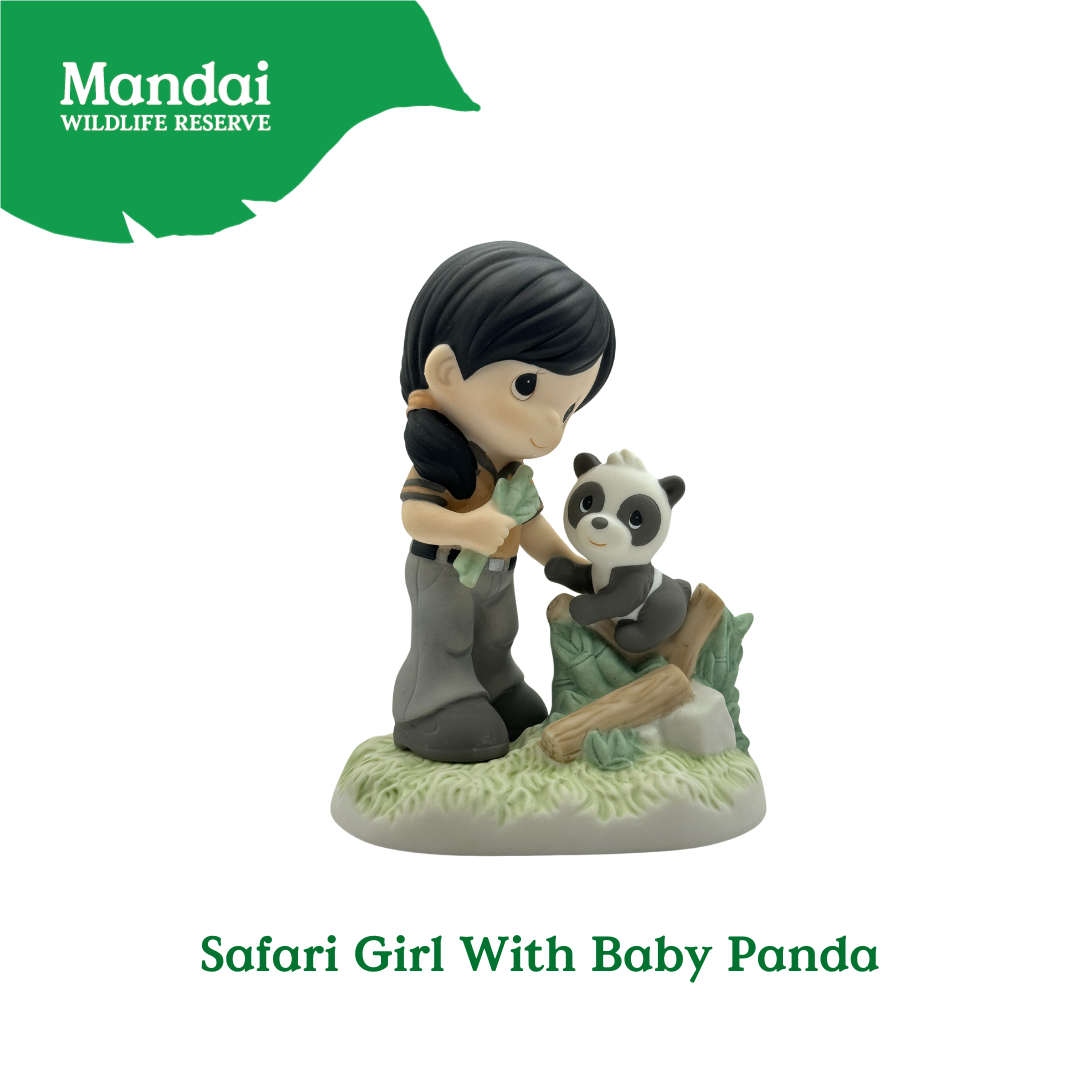 Safari Girl and Baby Panda: A Symbol of Conservation at MANDAI WILDLIFE RESERVE