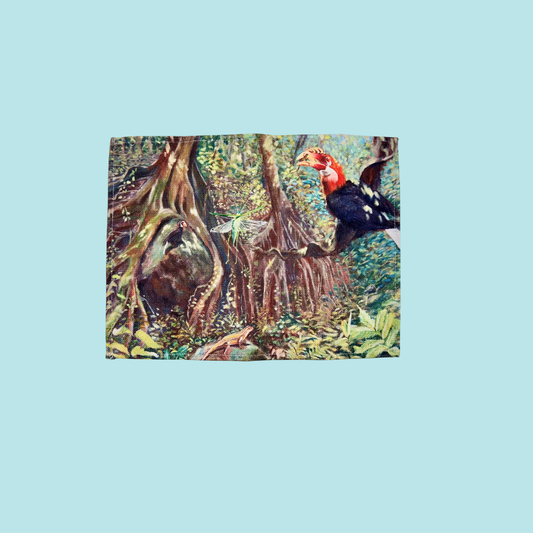 Wild Elegance Hornbill Placemat – Stylish Living Decor with Nature MANDAI WILDLIFE RESERVE